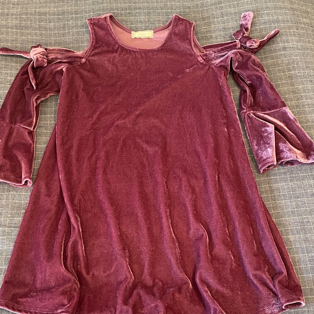 Soprano Velvet Dress in Rich Purple